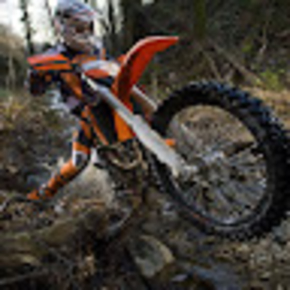 Meet your Posher, Hunter - Picture 1 of 1